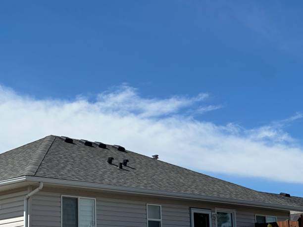 Best Wood Shake Roofing  in Brownsville, TN